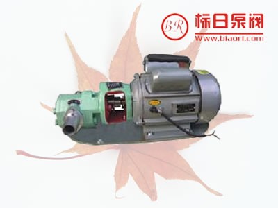 供应WCB型齿轮油泵